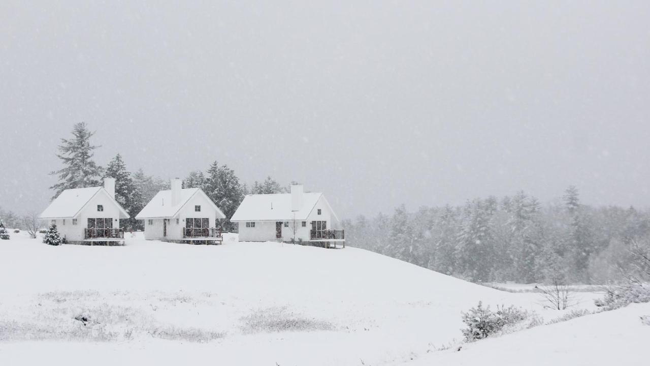 Owl's Nest Resort Thornton Extérieur photo